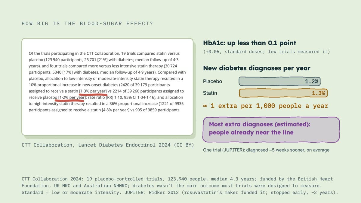 From the video: HOW BIG IS THE BLOOD-SUGAR EFFECT?, CTT Collaboration, Lancet Diabetes Endocrinol 2024 (CC BY), HbA1c: up less than 0.1 point, (+0.06, standard doses; few trials measured it), New diabetes diagnoses per year, Placebo, 1.2%, Statin, 1.3%, ≈ 1 extra per 1,000 people a year, Most extra diagnoses (estimated