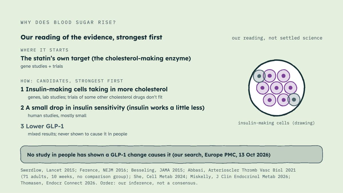 From the video: WHY DOES BLOOD SUGAR RISE?, Our reading of the evidence, strongest first, our reading, not settled science, WHERE IT STARTS, The statin’s own target (the cholesterol-making enzyme), gene studies + trials, HOW: CANDIDATES, STRONGEST FIRST, 1 Insulin-making cells taking in more cholesterol, genes, lab st
