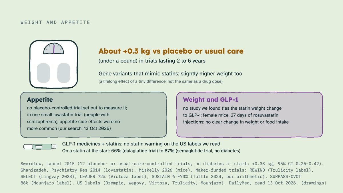 From the video: WEIGHT AND APPETITE, About +0.3 kg vs placebo or usual care, (under a pound) in trials lasting 2 to 6 years, Gene variants that mimic statins: slightly higher weight too, (a lifelong effect of a tiny difference; not the same as a drug dose), Appetite, no placebo-controlled trial set out to measure it;,