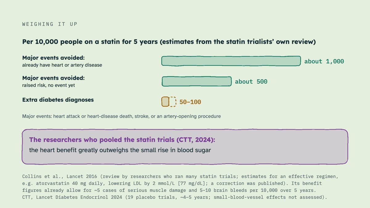 From the video: WEIGHING IT UP, Per 10,000 people on a statin for 5 years (estimates from the statin trialists’ own review), Major events avoided:, already have heart or artery disease, about 1,000, Major events avoided:, raised risk, no event yet, about 500, Extra diabetes diagnoses, 50–100, Major events: heart attack