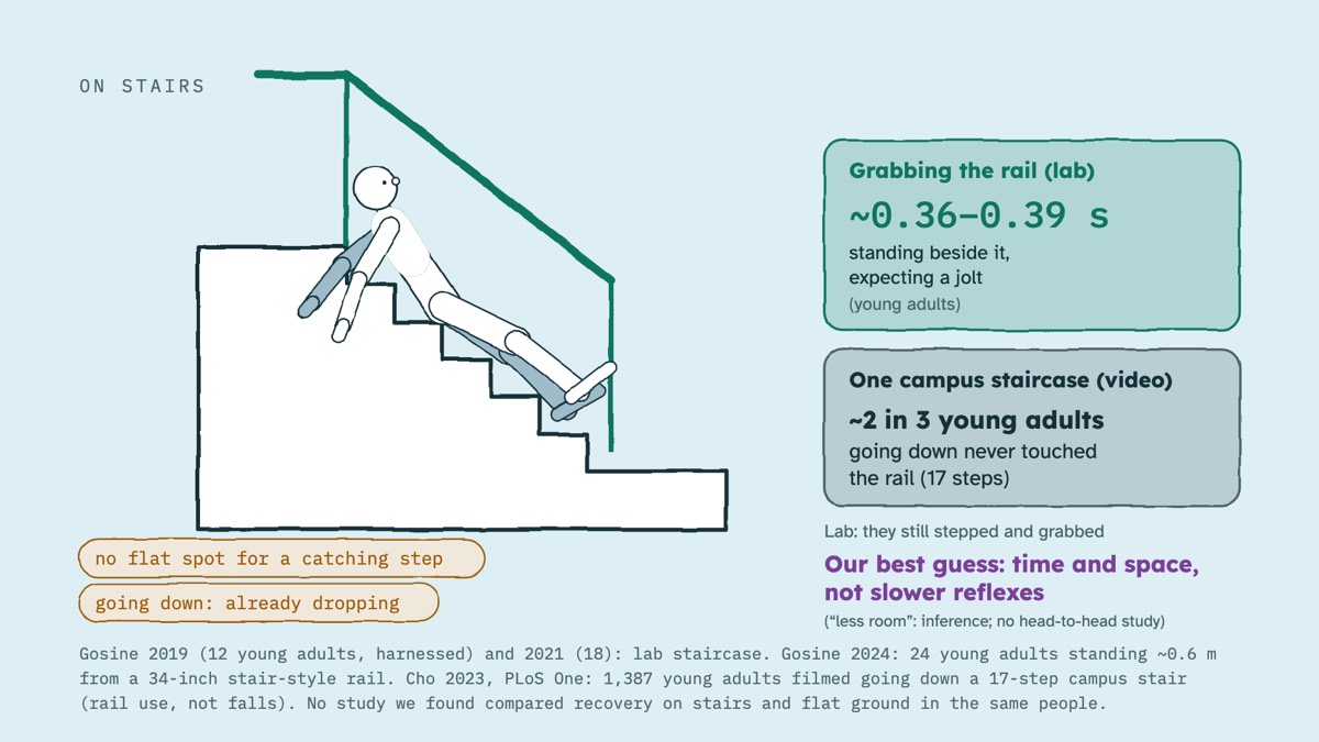 From the video: ON STAIRS, no flat spot for a catching step, going down: already dropping, Grabbing the rail (lab), ~0.36–0.39 s, standing beside it,, expecting a jolt, (young adults), One campus staircase (video), ~2 in 3 young adults, going down never touched, the rail (17 steps), Lab: they still stepped and grabbed,