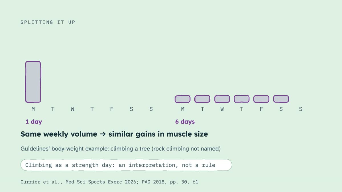 From the video: SPLITTING IT UP, M, T, W, T, F, S, S, M, T, W, T, F, S