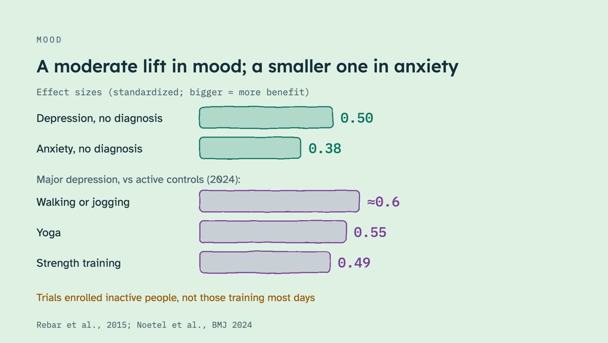 From the video: MOOD, A moderate lift in mood; a smaller one in anxiety, Effect sizes (standardized; bigger = more benefit), Depression, no diagnosis, 0.50, Anxiety, no diagnosis, 0.38, Major depression, vs active controls (2024):, Walking or jogging, ≈0.6, Yoga, 0.55, Strength training, 0.49