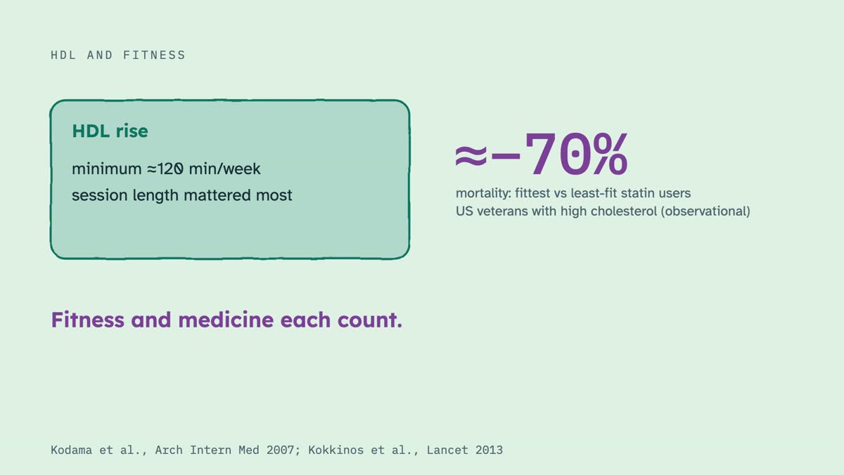 From the video: HDL AND FITNESS, HDL rise, minimum ≈120 min/week, session length mattered most, ≈−70%, mortality: fittest vs least-fit statin users, US veterans with high cholesterol (observational), Fitness and medicine each count., Kodama et al., Arch Intern Med 2007; Kokkinos et al., Lancet 2013